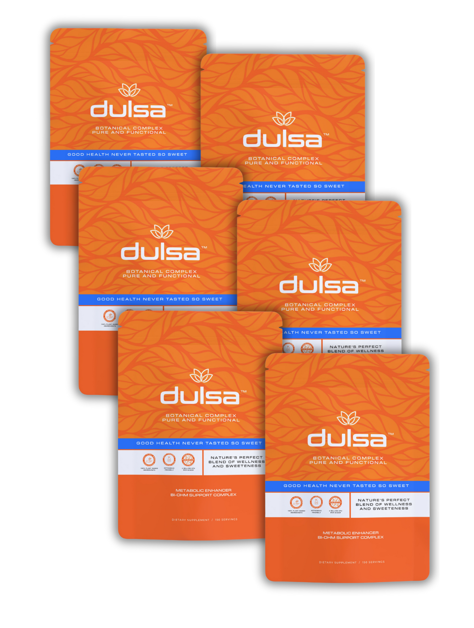 Family Celebration 6 Pack